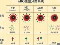 血型分析(血型分析ABO+RH)