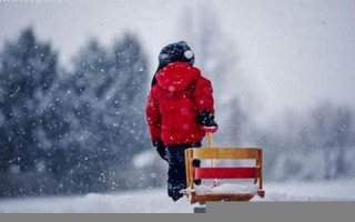 梦见下雪了是什么预兆(做生意的女人梦见下雪了是什么预兆)