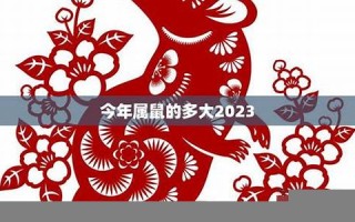 2023年属鼠人的全年运势(2023年属鼠人的全年运势1972出生)