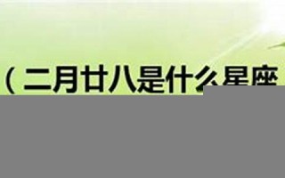 二月廿八(二月廿八是几月几日)