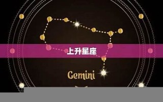 星座网(星座网搜狐)