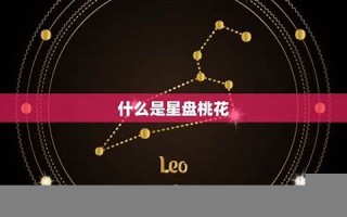 个人星盘查询(星盘分析查询)