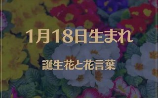 1月18日(1月18日天气预报)