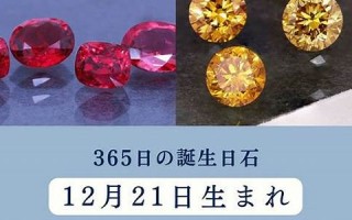 12月21日(12月21日出生的明星)